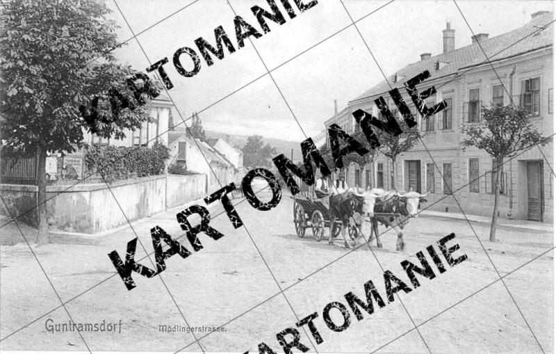 80 mödlingerstr