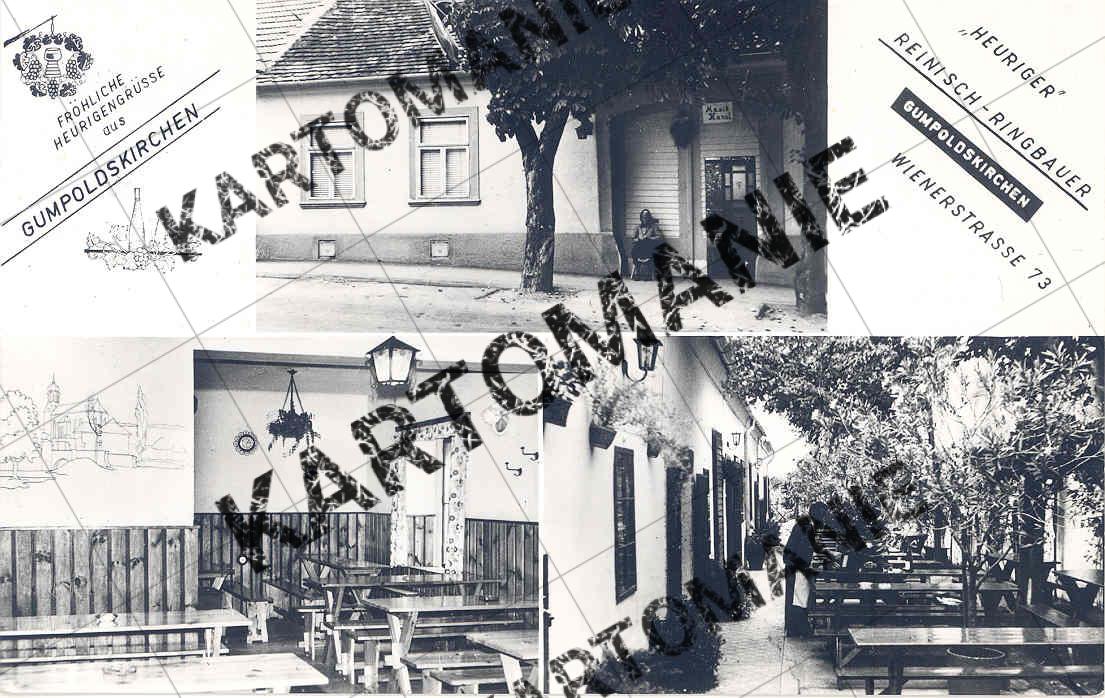 heuriger reinisch ringbauer