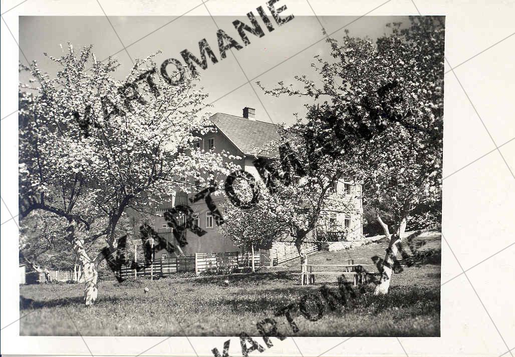 pension burg hartenstein