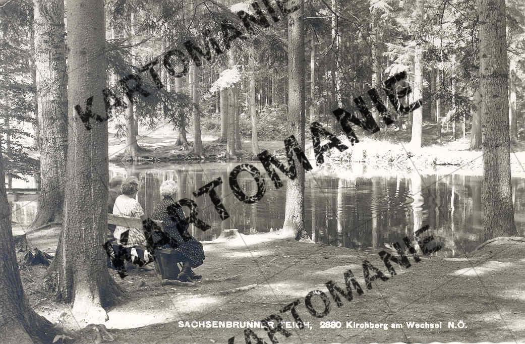sachsenbrunner teich