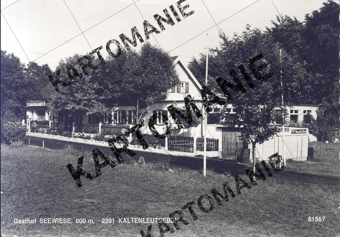seewiese 3