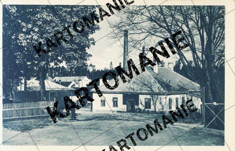 1 rest  zechmann