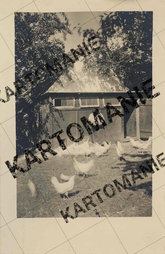 36