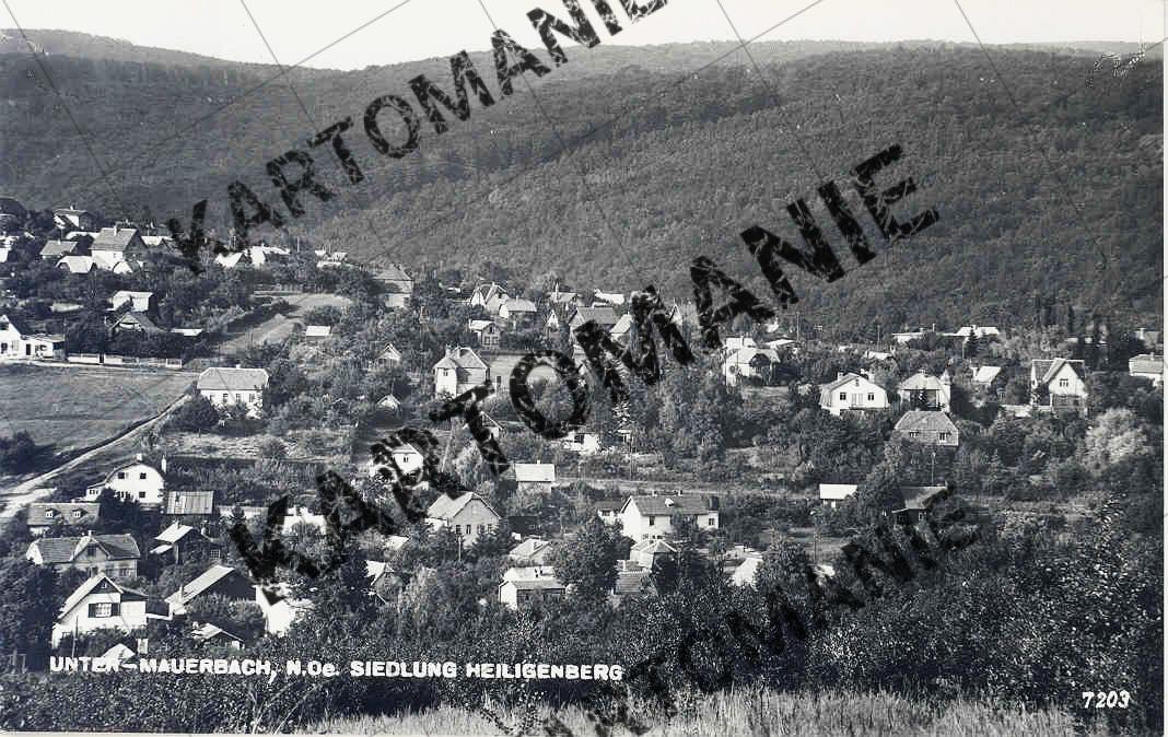 81