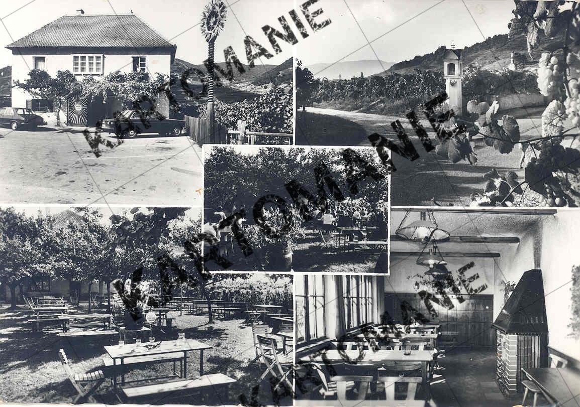 heuriger  riesenhuber