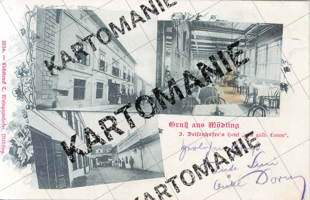 hotel z goldenen lamm  dreisenhofer