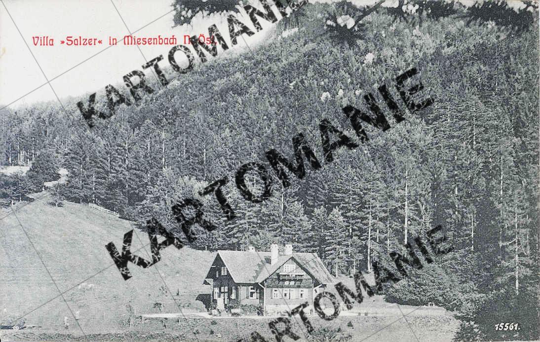 villa  salzer