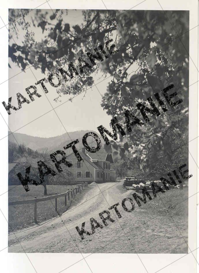 4 rogatsboden gasthaus hofegger