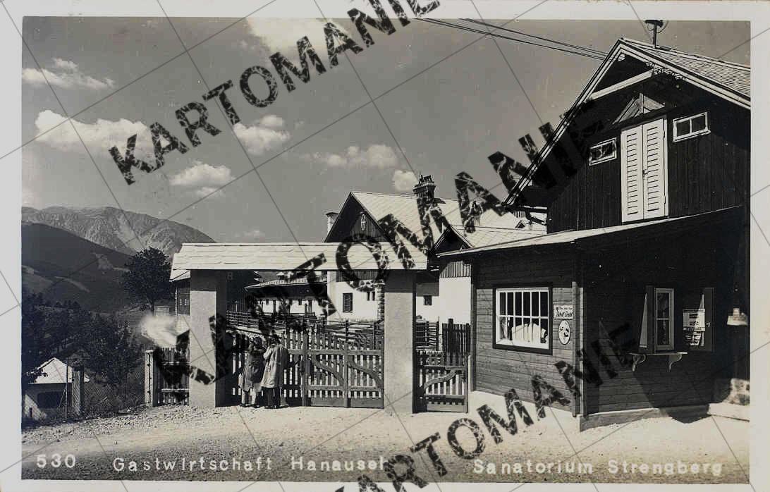 6  hanausek  sanatorium strengberg