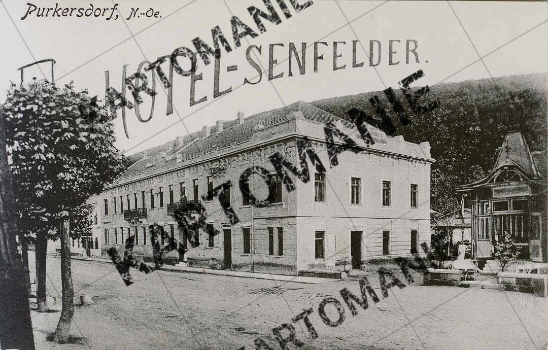 hotel seenfelder
