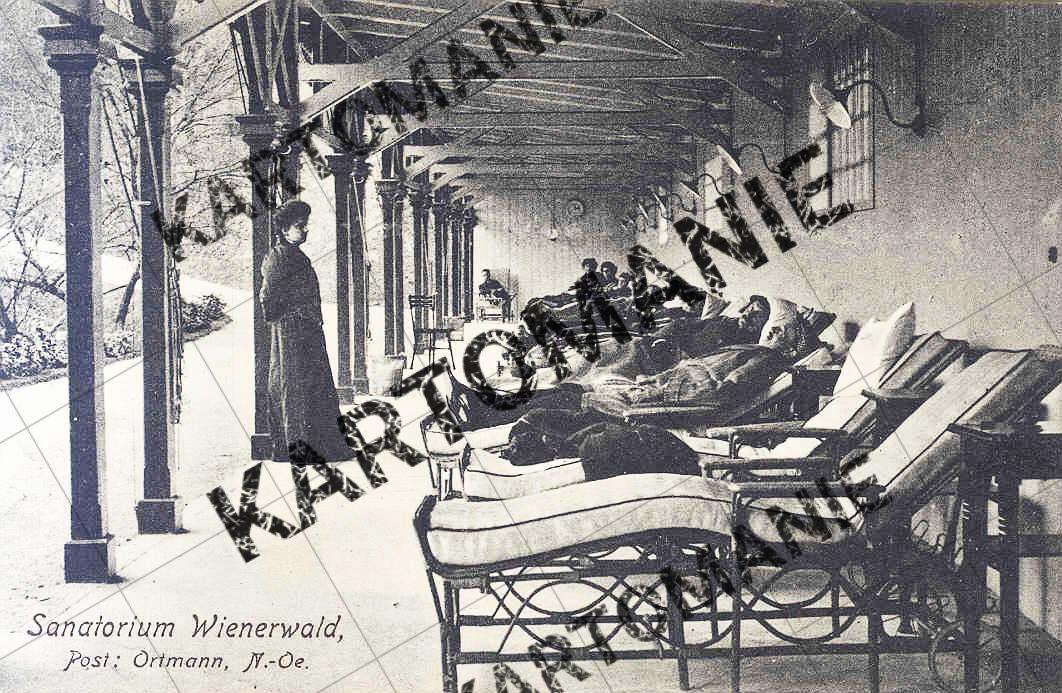 sanatorium  wienerwald