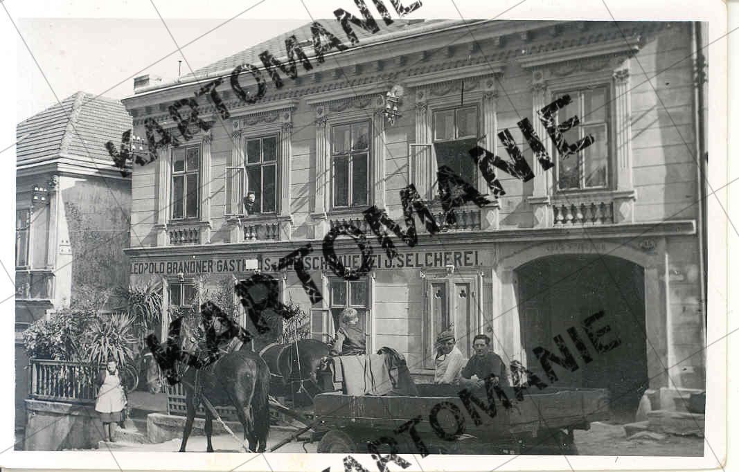 1 leopols brandner  u fleischer