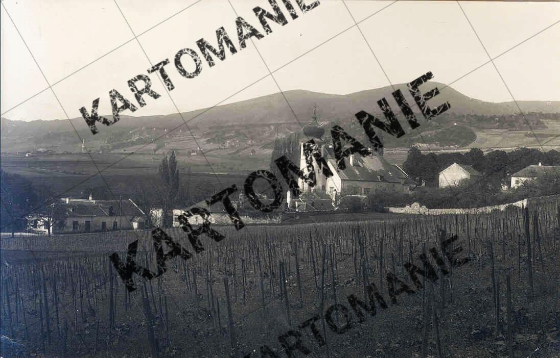 12  fregut  prohaska