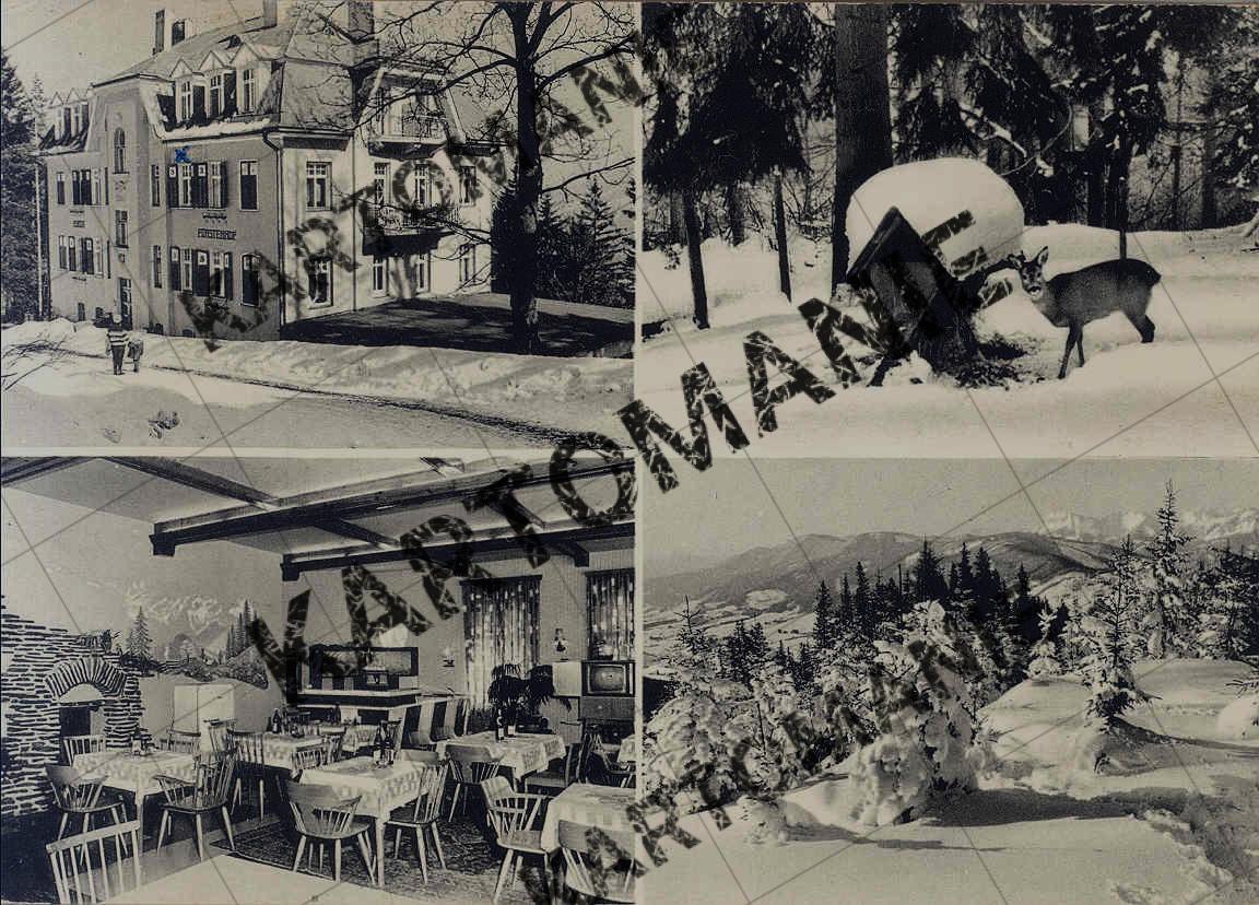 fürstenhof  fam  seyfried