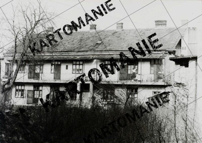 nr 24