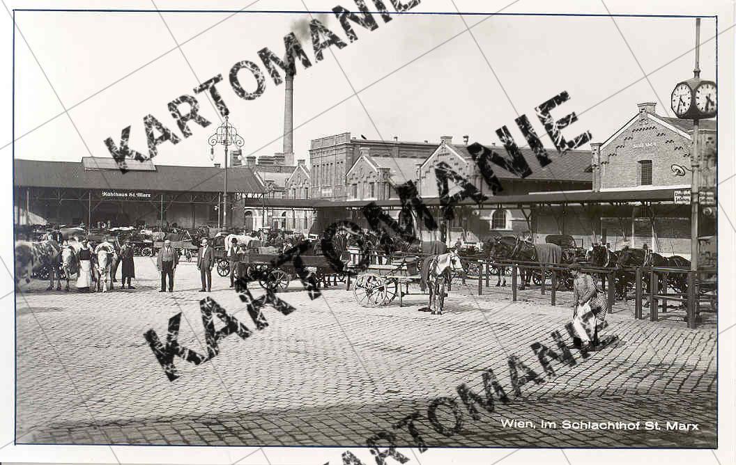 schlachthof