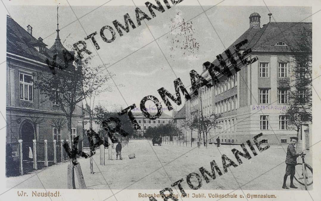 gymnasium  babenbergerring