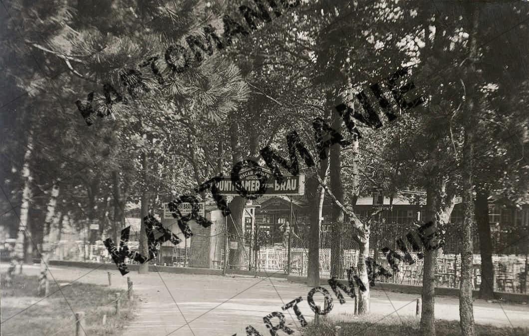 puntigamer b ierhaus