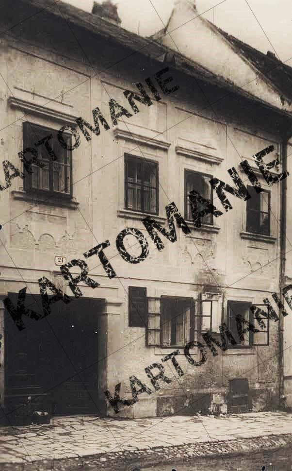 haydnhaus1