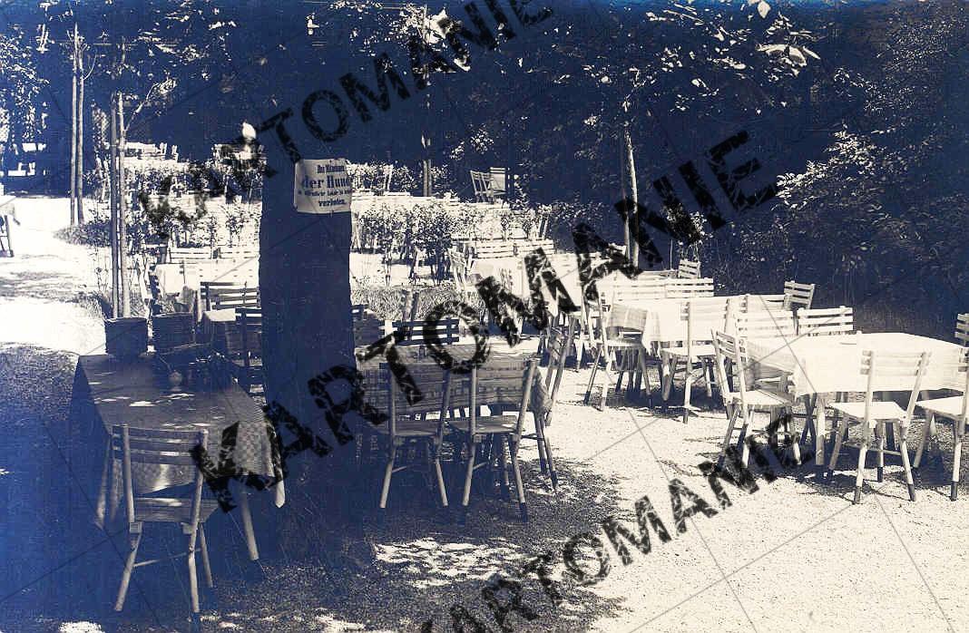 nr 100 schottenfelder keller