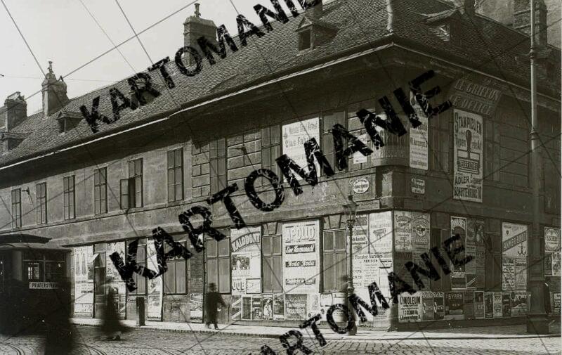 nr 11 anatomie