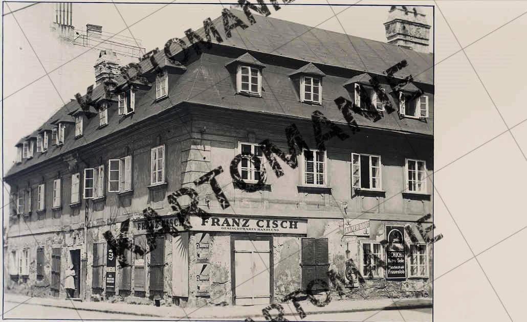 nr 15 zum gold löwen