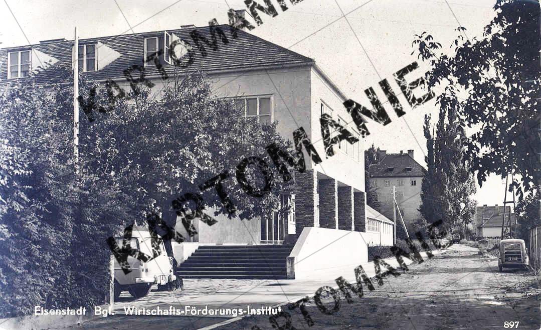 wirtschaftsf  institut