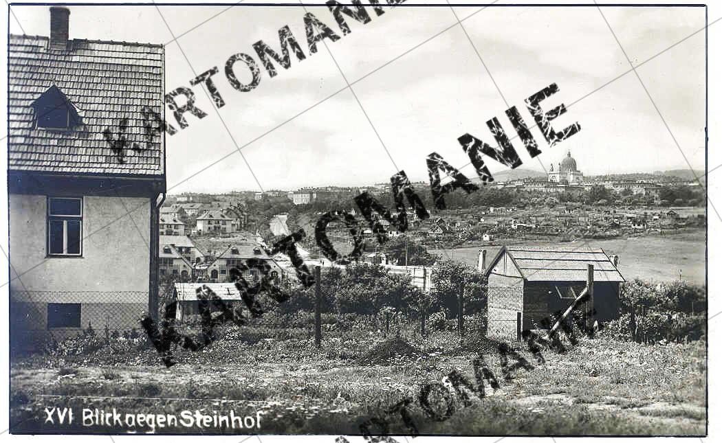 blick gegen steinhof