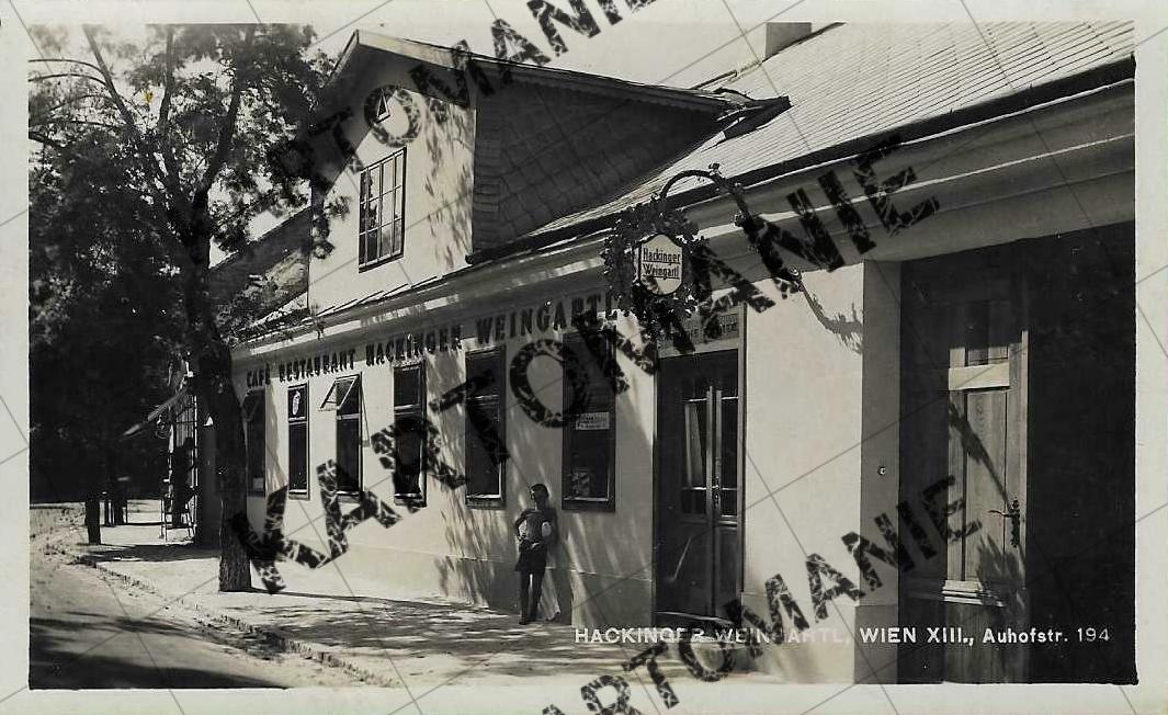 hackinger Weingartl  nr 194