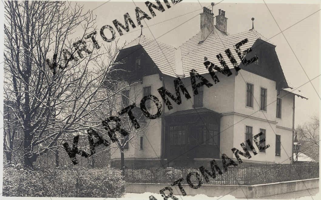 m  menzel  krankenschwester