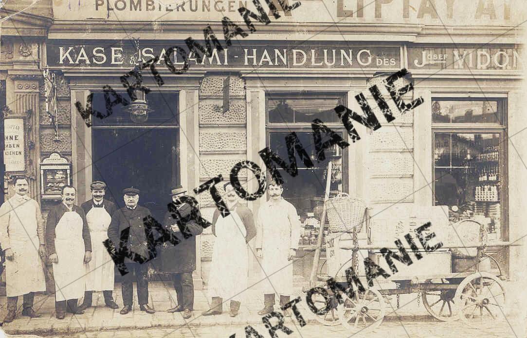nr 29