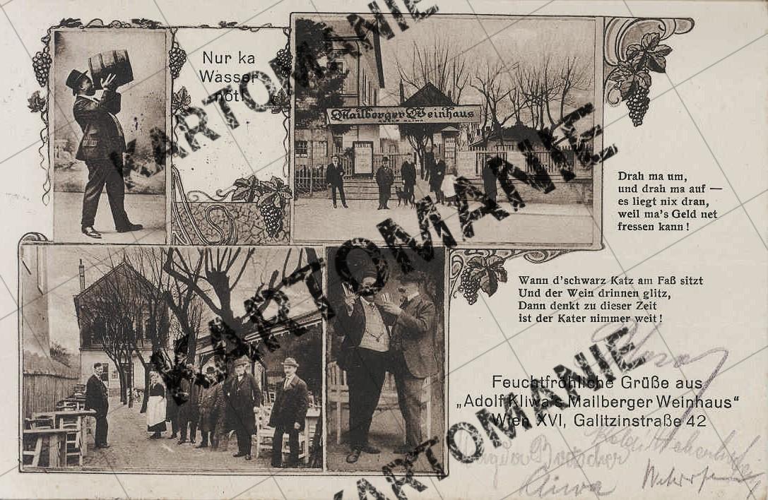 nr 42 weinhaus mailberger