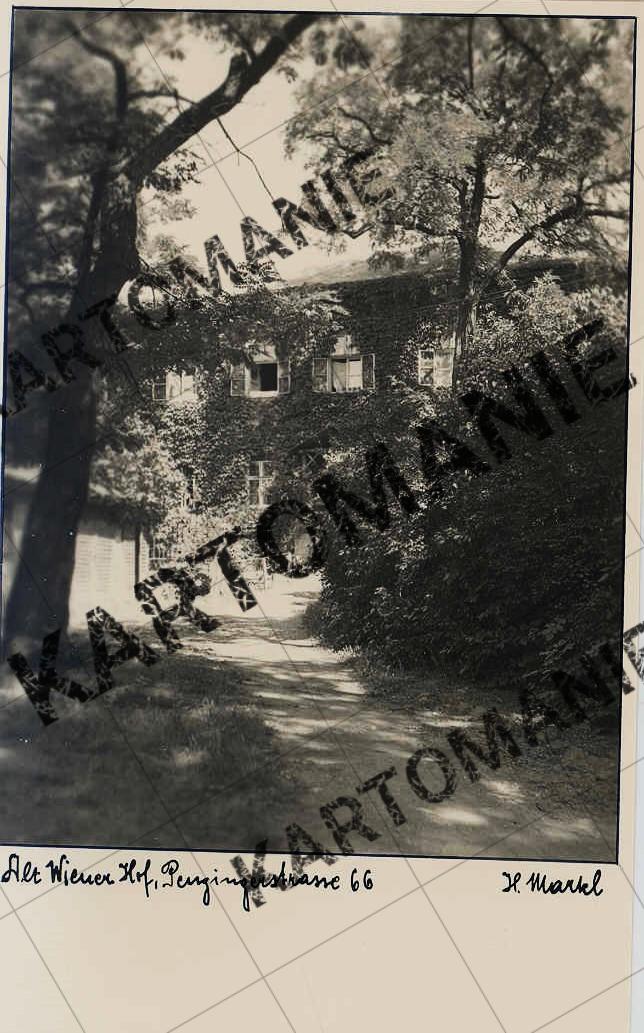 nr 66 alt wiener hof