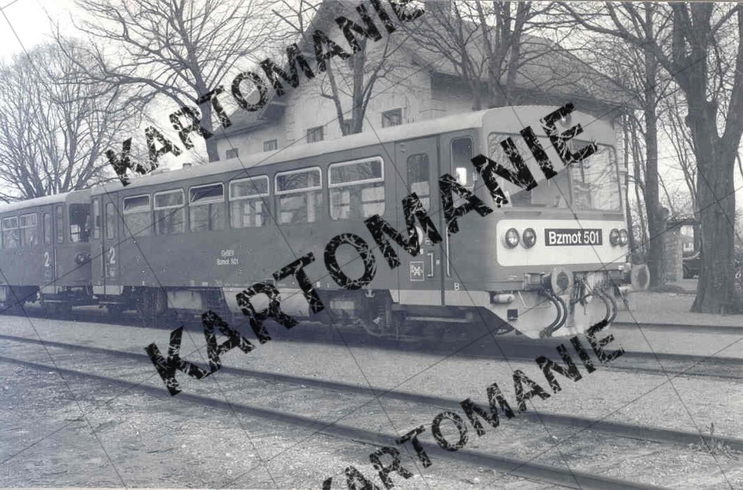 pamhagen   neusiedlersee