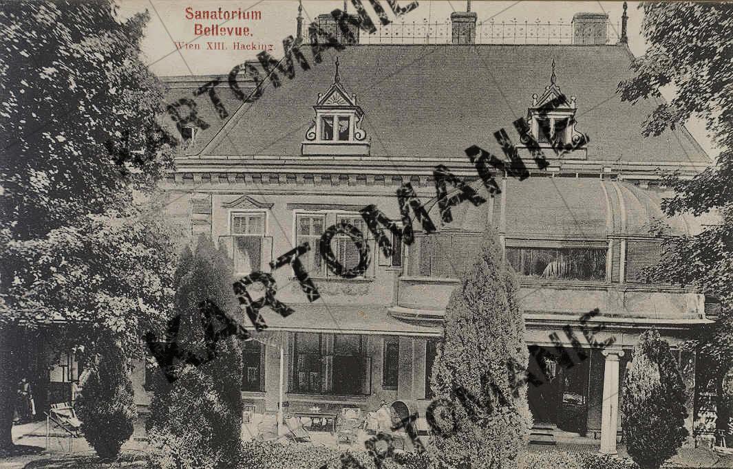 sanatorium bellevue