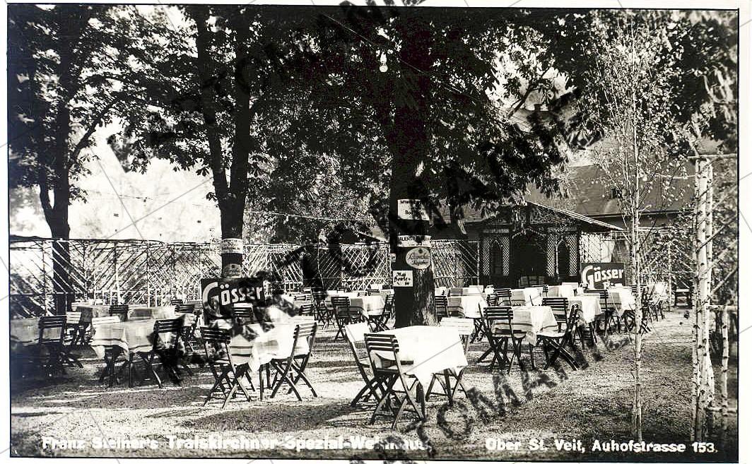 traiskirchner weinhaus