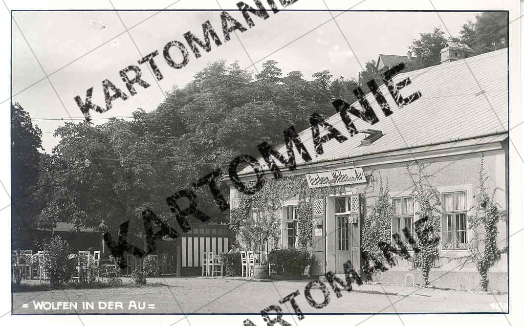 wolfen in der au
