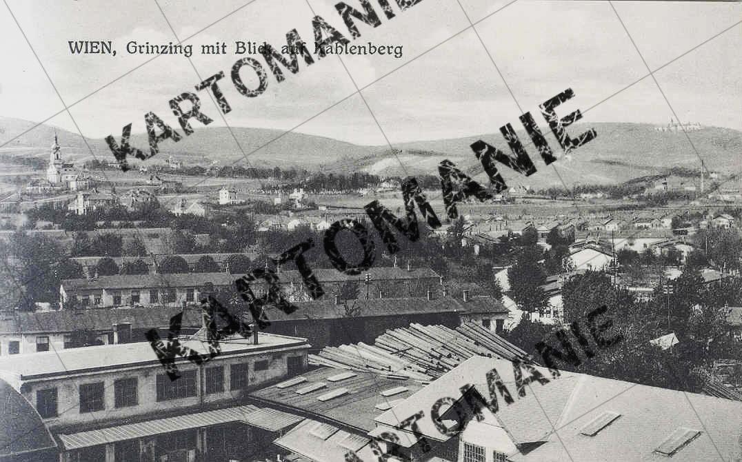 blick auf kahlenberg