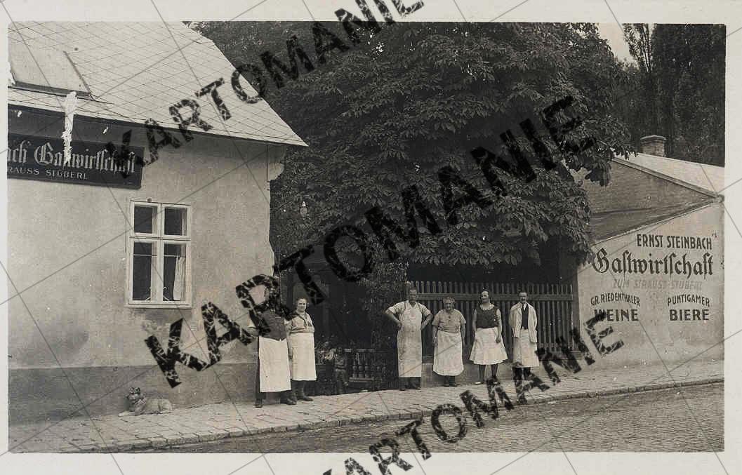 ernst steinbach  nr 241