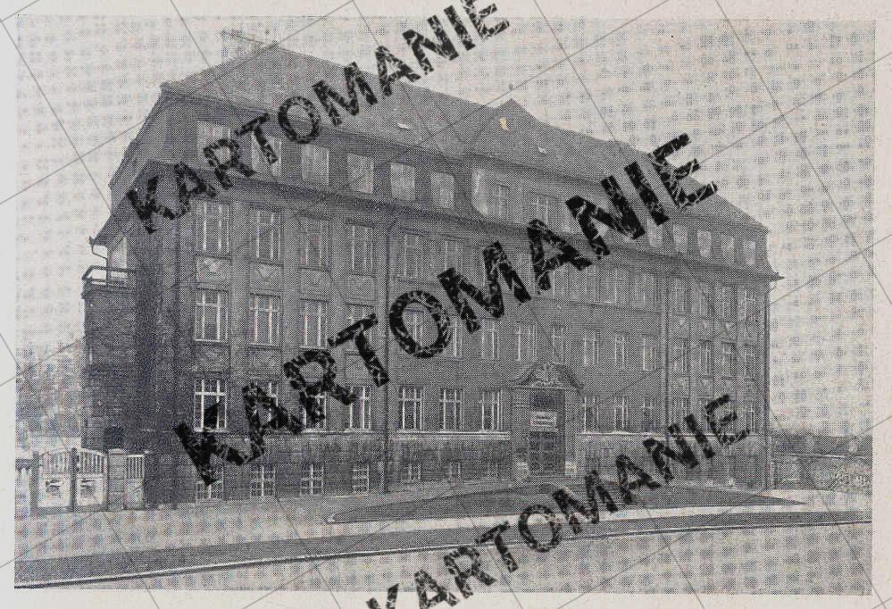gymnasium nr 11