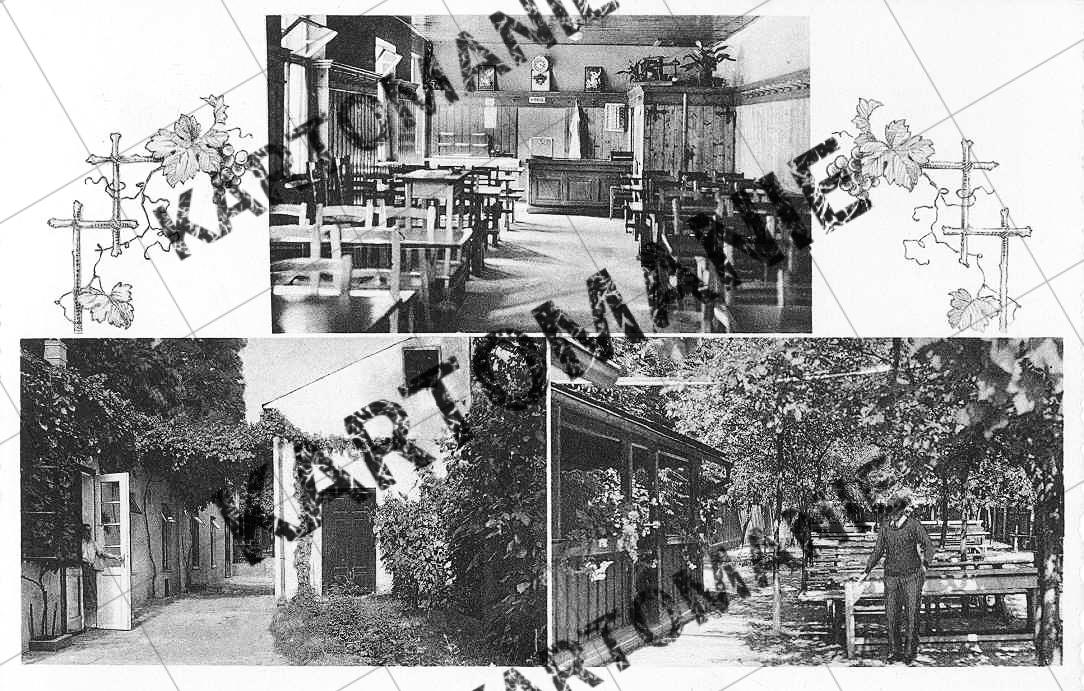 haselberger rudolfinerg