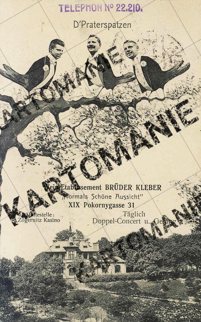 nr 31 Brüder kleber