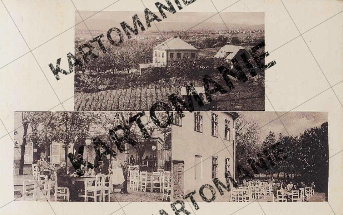 restaurant cafe  neunteufel