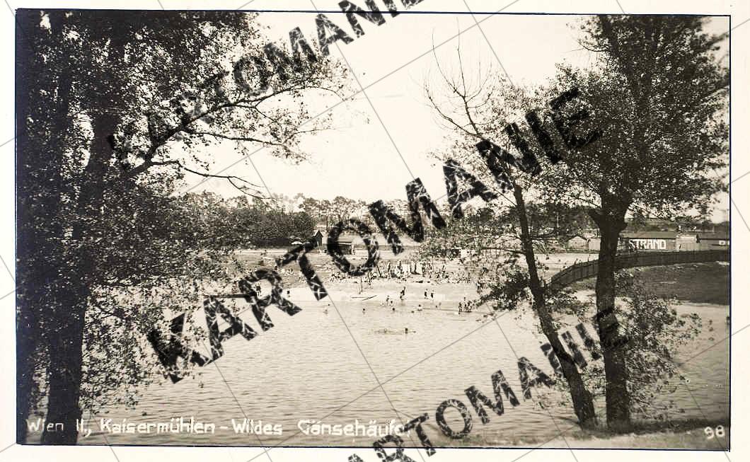 wildes Gänsehäufel