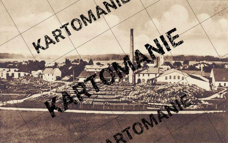 dampfsäge  brüll