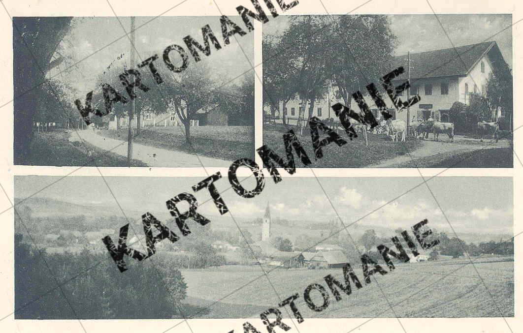 jakob spitzer gemischtwarenhandel