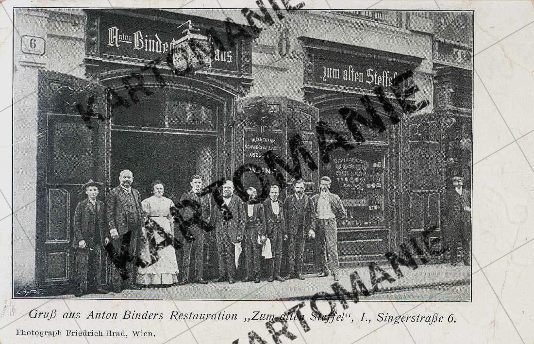 nr6, zum alten steffl