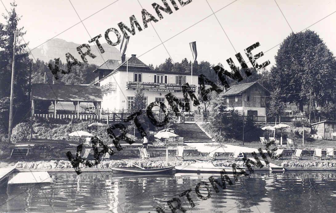 seegasthof weiße taube