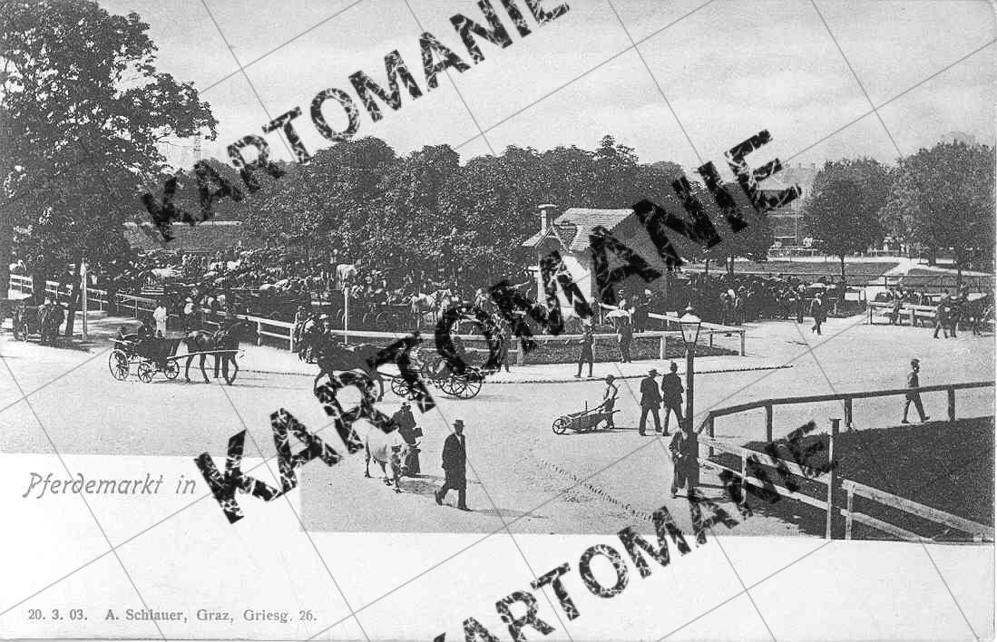 pferdemarkt