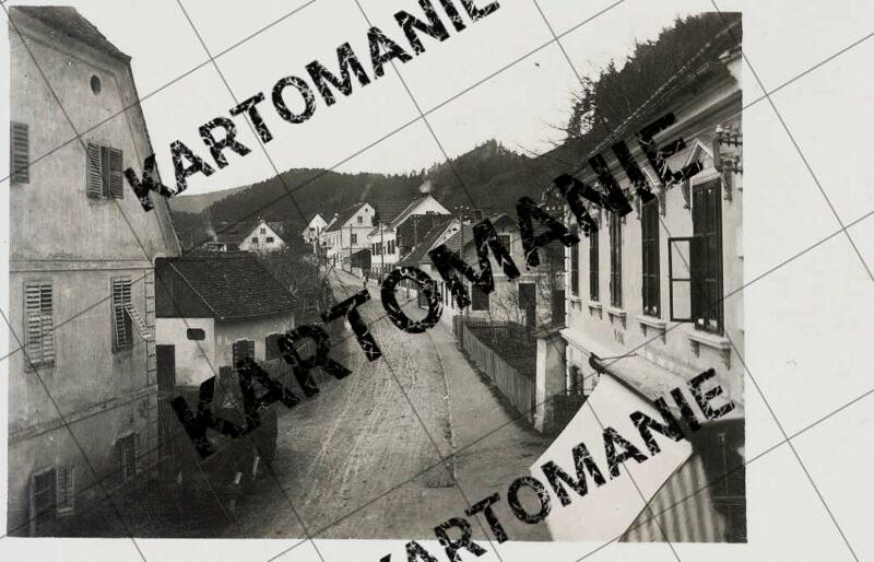 reinerstr